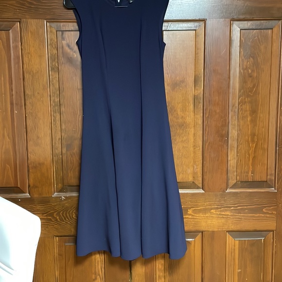 Sleeveless Ann Taylor Midi Dress - Picture 11 of 13